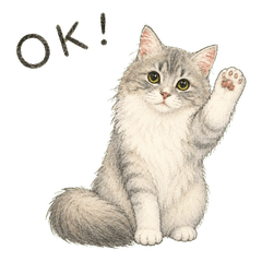 Everyday Siberian Cat Stickers