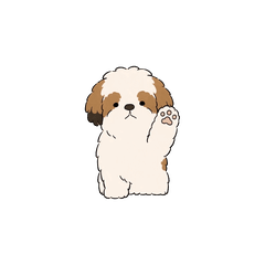 No Text Shih Tzu Animated (Gold & White)
