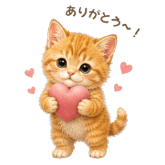 Orange Tabby Cat's Meo