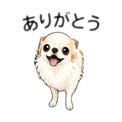 yama-dai_20260824043054