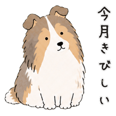 Dogs' Inner Howls: Money Talk