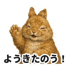 Hiroshima Dialect Rabbits