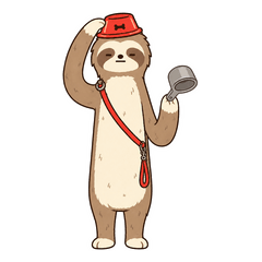 Pet Care Handover Sloth