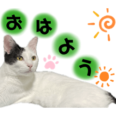 misaki_20260824125043