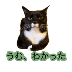 kuunin_20260824123825