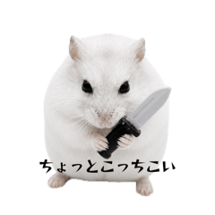 Tamuchan_20260824141336