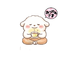 kirakiraboshi_20260824144123