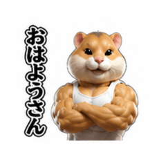 Rigachi_20260824152730