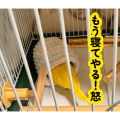 KeNKeN_20260824164012