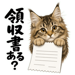Tax Accounting Cats