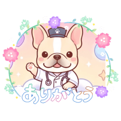 Yumi holistic vet_20260824171138