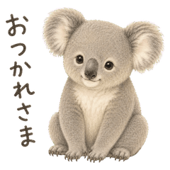 Everyday Fluffy Koala