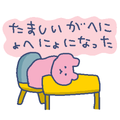 No self affirmation bear daily life