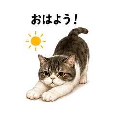 Cute Cat Daily Talk Vol01