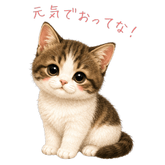 Tabby & White Cat's Meow