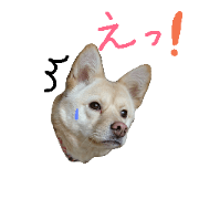 OK! Cookie! 5