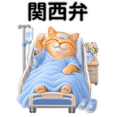 Hospital Cat Messages in Kansai Dialect
