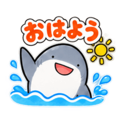 Cute Chill Great White Shark