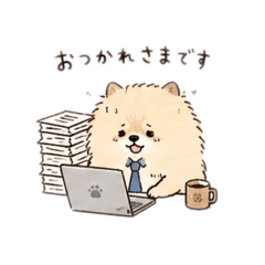 Purin_20260825072046