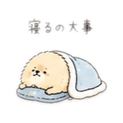 Purin_20260825075310