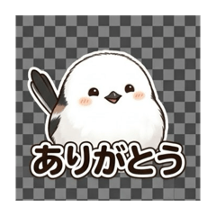 fumi_20260825081506