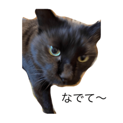 Miimimiin_20260825083015