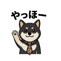 kuromaneshiba,
