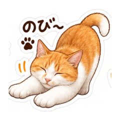 nako_cat_03