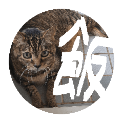 yukino_20260825082618