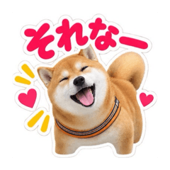 mari_20260825085652