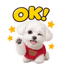 taka_20260825091638