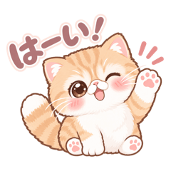 Yuka_20260825094021