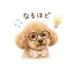 useable toy poodle No.1