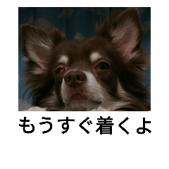 earo