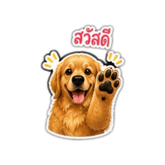 Gsrkmy_20260825095205