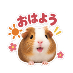 Mai_20260825111911