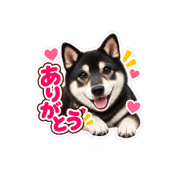 kuroshiba--fuku