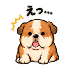 BURUTA the Bulldog: Lazy & Cute!
