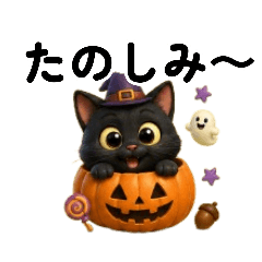 Sophisticated & Cute Black Cat Halloween