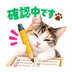 Tomomi_20260825112957