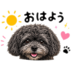 poji_20260825112958