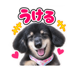 hakurikiko_20260825113459