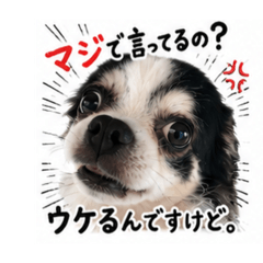 nao.na_20260825114416