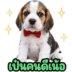 cute Beagle dog V.10