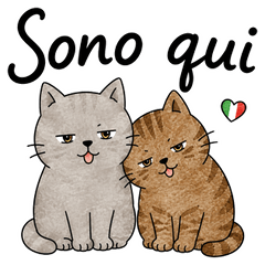 Piano piano cat - Caring Italian
