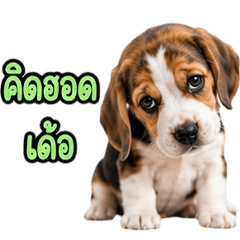 Adorable Beagle dog V.3