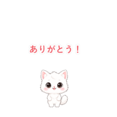 Fluffy Cat's Polite Phrases