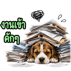 Adorable Beagle dog V.4