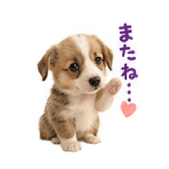 uchu-soudansitsu-2_20260825121301