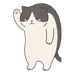 Slouchy Cat in Motion!